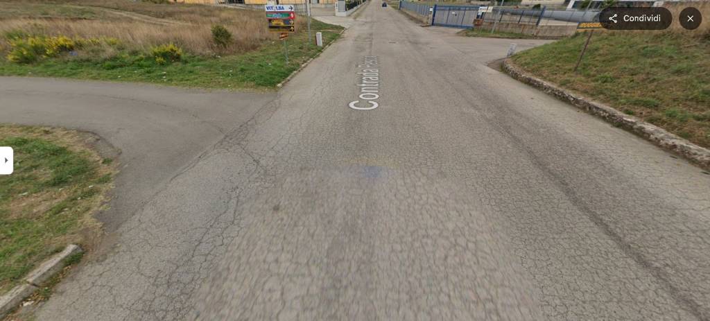 immagine annuncio 2 di 14