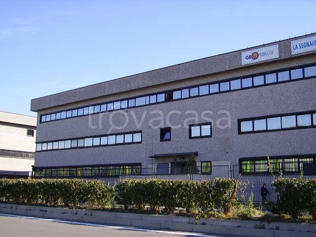 immagine annuncio 10 di 12