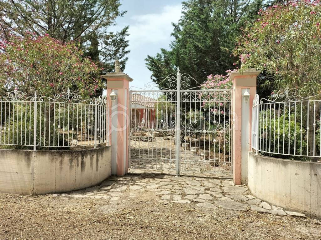immagine annuncio 5 di 12