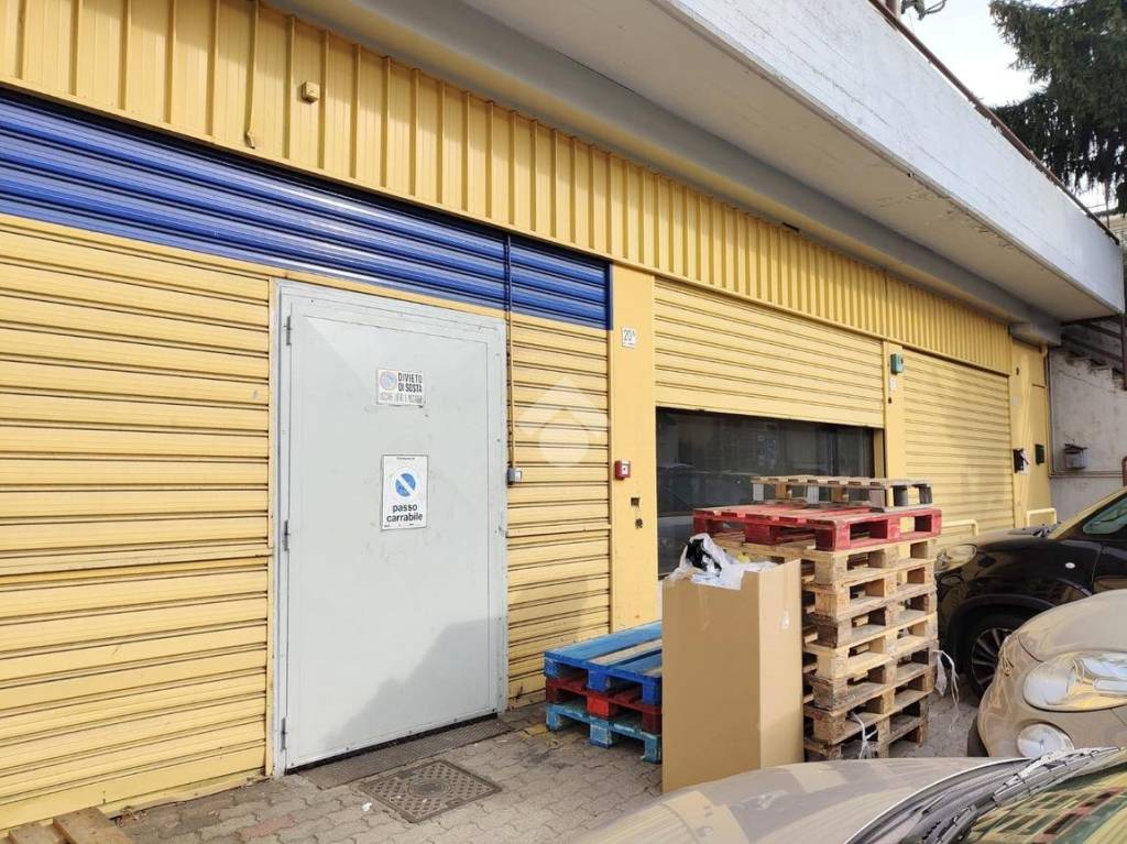 immagine annuncio 5 di 15