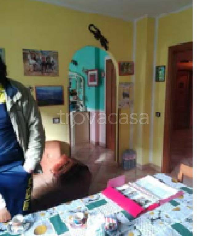 immagine annuncio 9 di 12