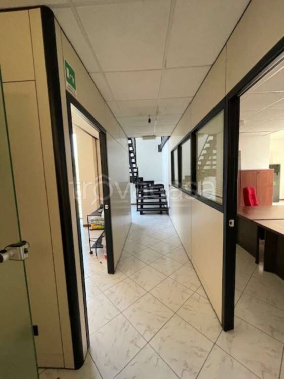 immagine annuncio 10 di 14