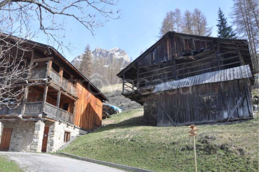 immagine annuncio 1 di 7