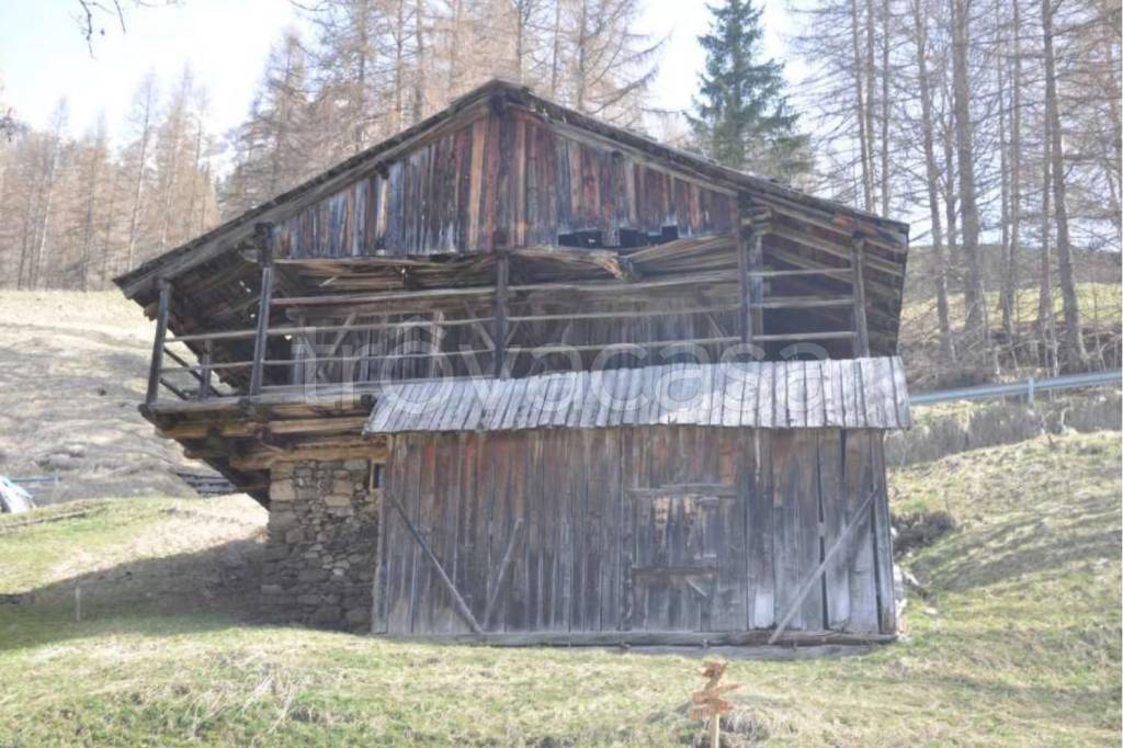 immagine annuncio 2 di 7