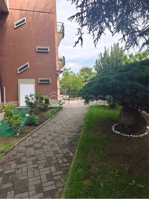 immagine annuncio 7 di 15