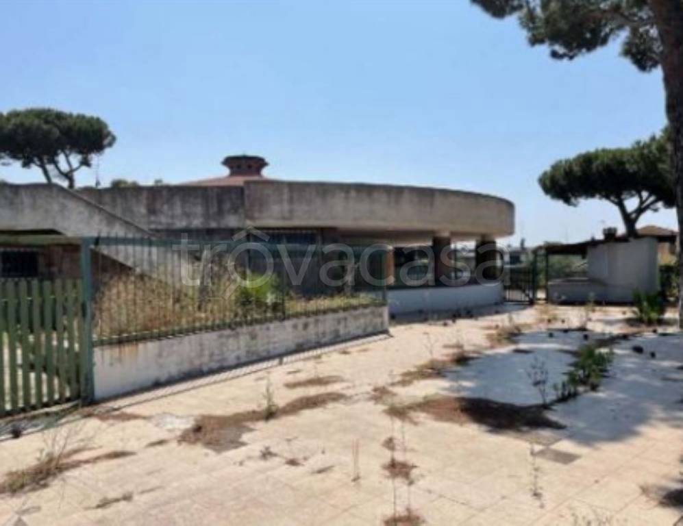 immagine annuncio 10 di 11