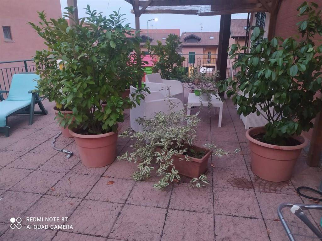 immagine annuncio 8 di 15