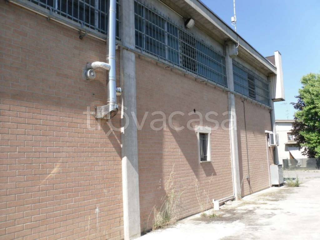 immagine annuncio 6 di 13