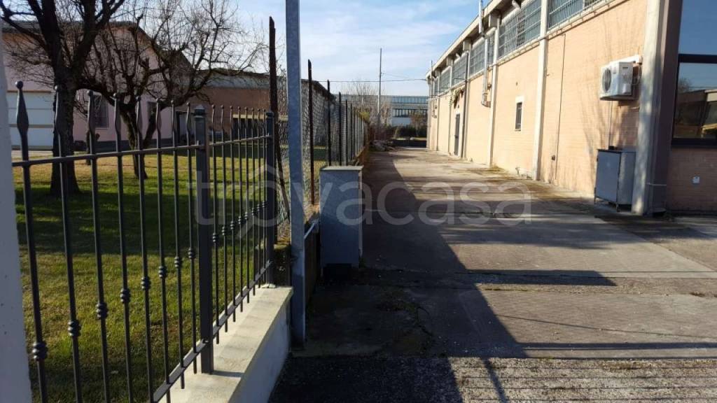 immagine annuncio 7 di 13