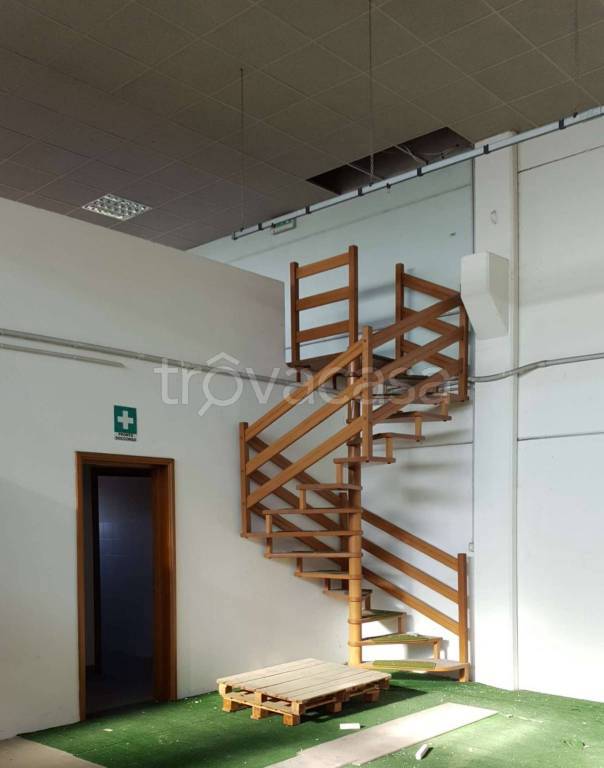 immagine annuncio 10 di 13
