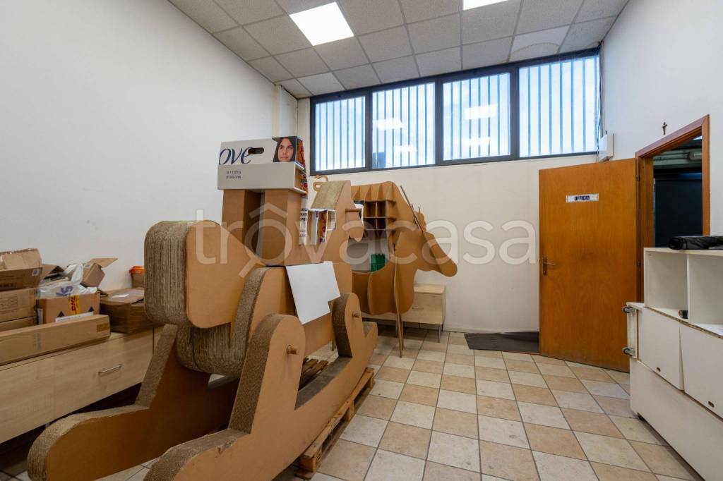 immagine annuncio 4 di 12