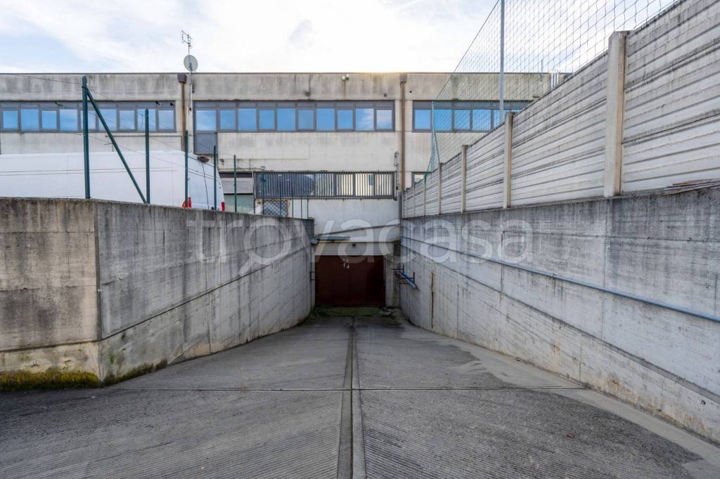 immagine annuncio 9 di 12
