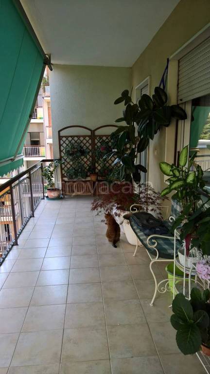 immagine annuncio 3 di 13