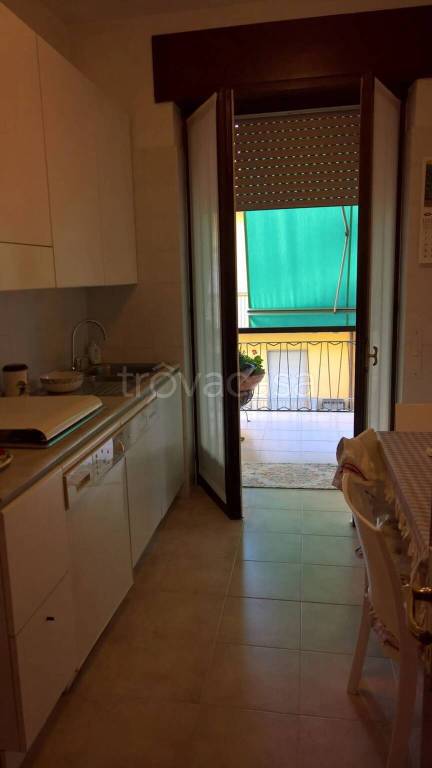 immagine annuncio 7 di 13