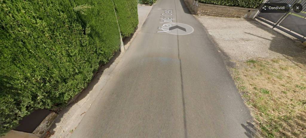 immagine annuncio 10 di 14