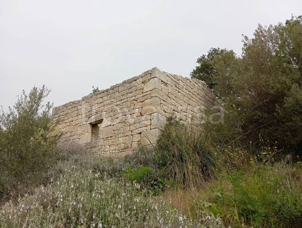 immagine annuncio 4 di 8