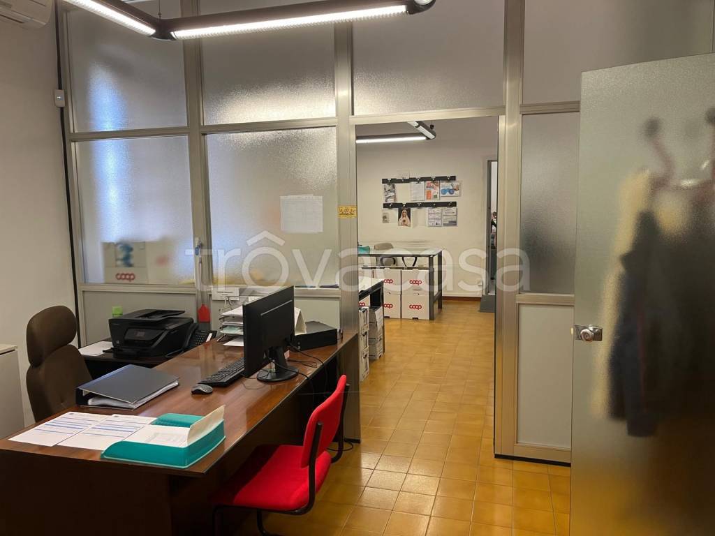 immagine annuncio 2 di 12