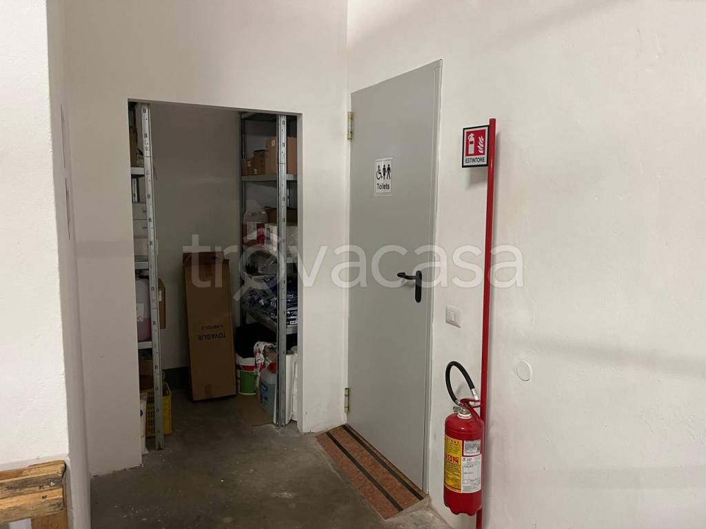 immagine annuncio 8 di 12