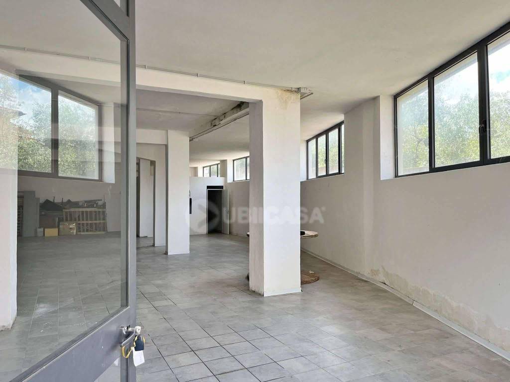 immagine annuncio 2 di 4