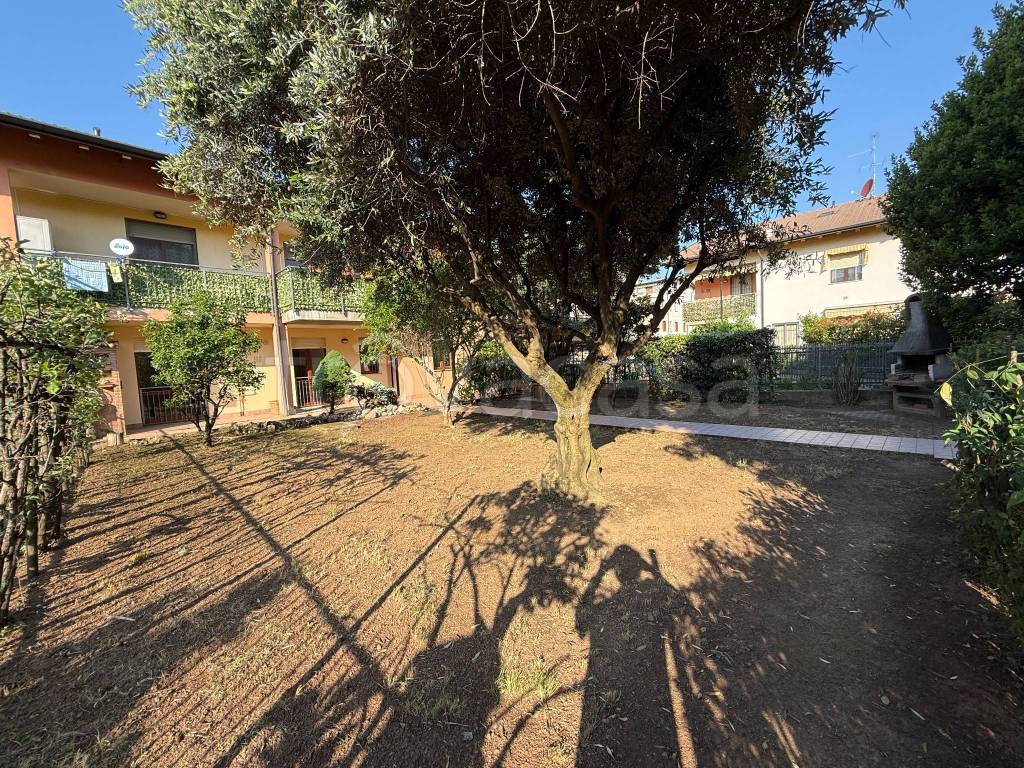 immagine annuncio 5 di 15