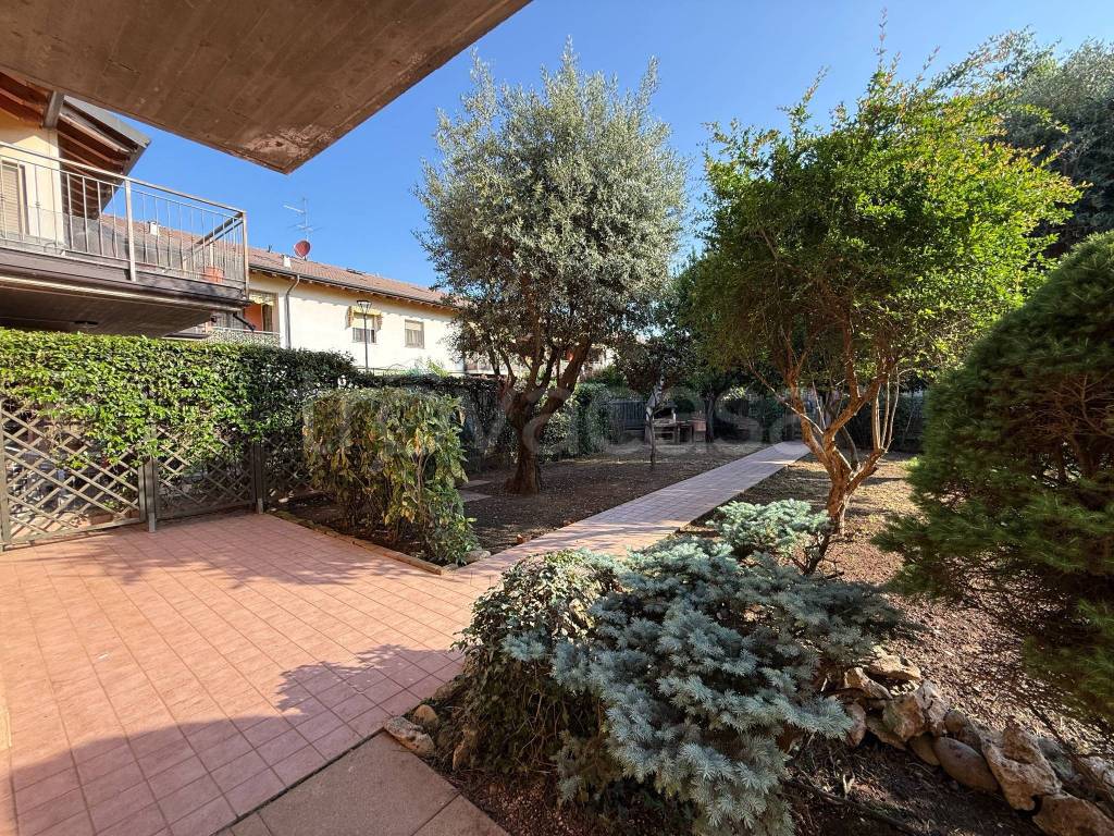 immagine annuncio 8 di 15