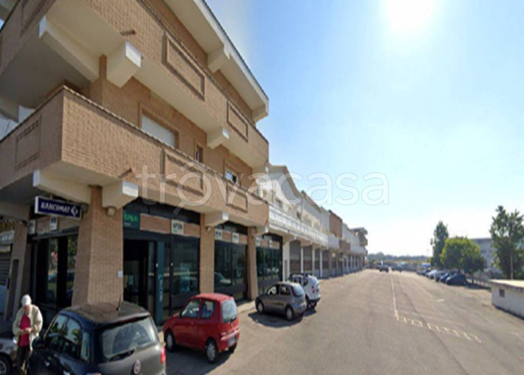 immagine annuncio 3 di 13