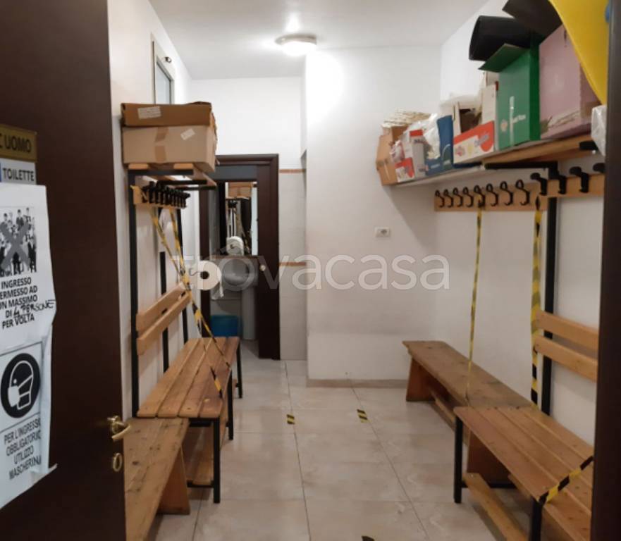 immagine annuncio 5 di 13