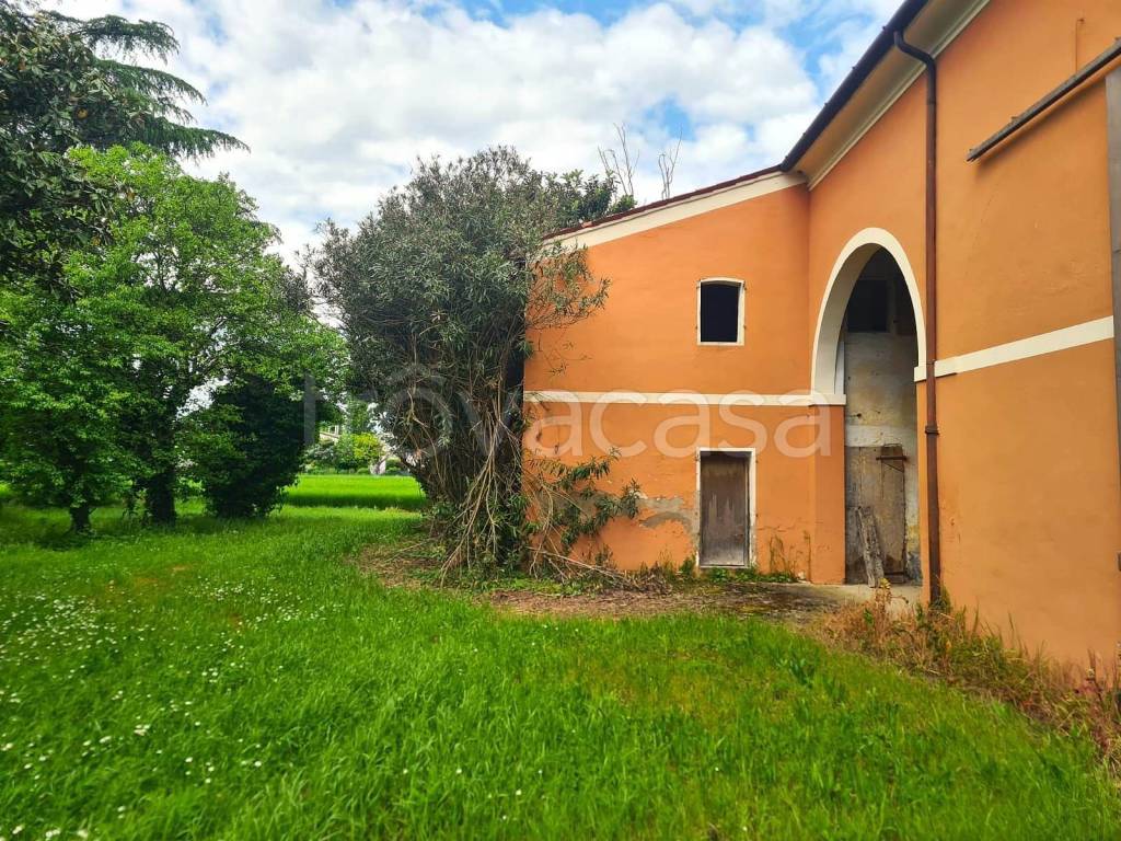 immagine annuncio 2 di 14