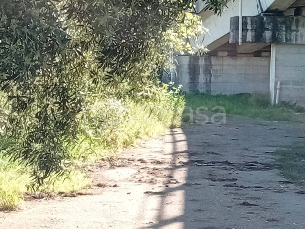immagine annuncio 6 di 9