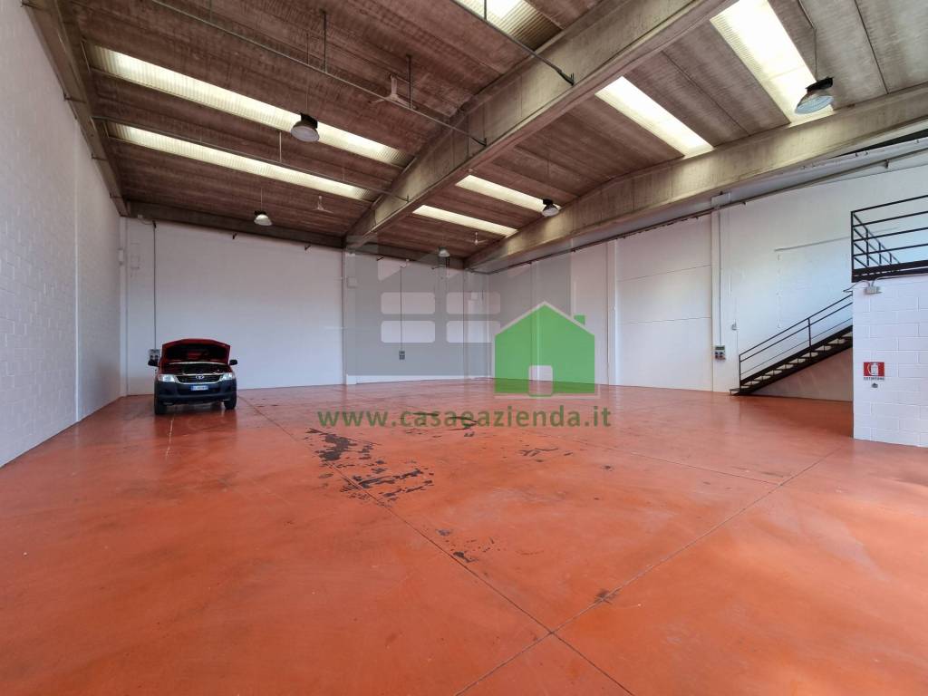 immagine annuncio 11 di 15