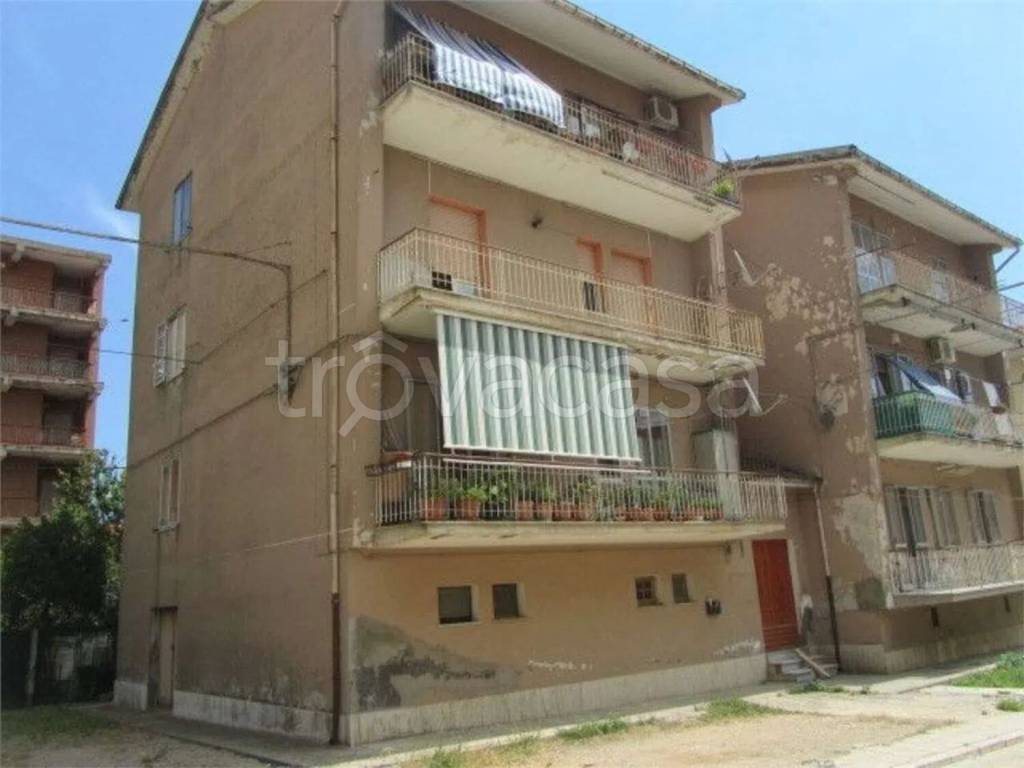 immagine annuncio 3 di 14