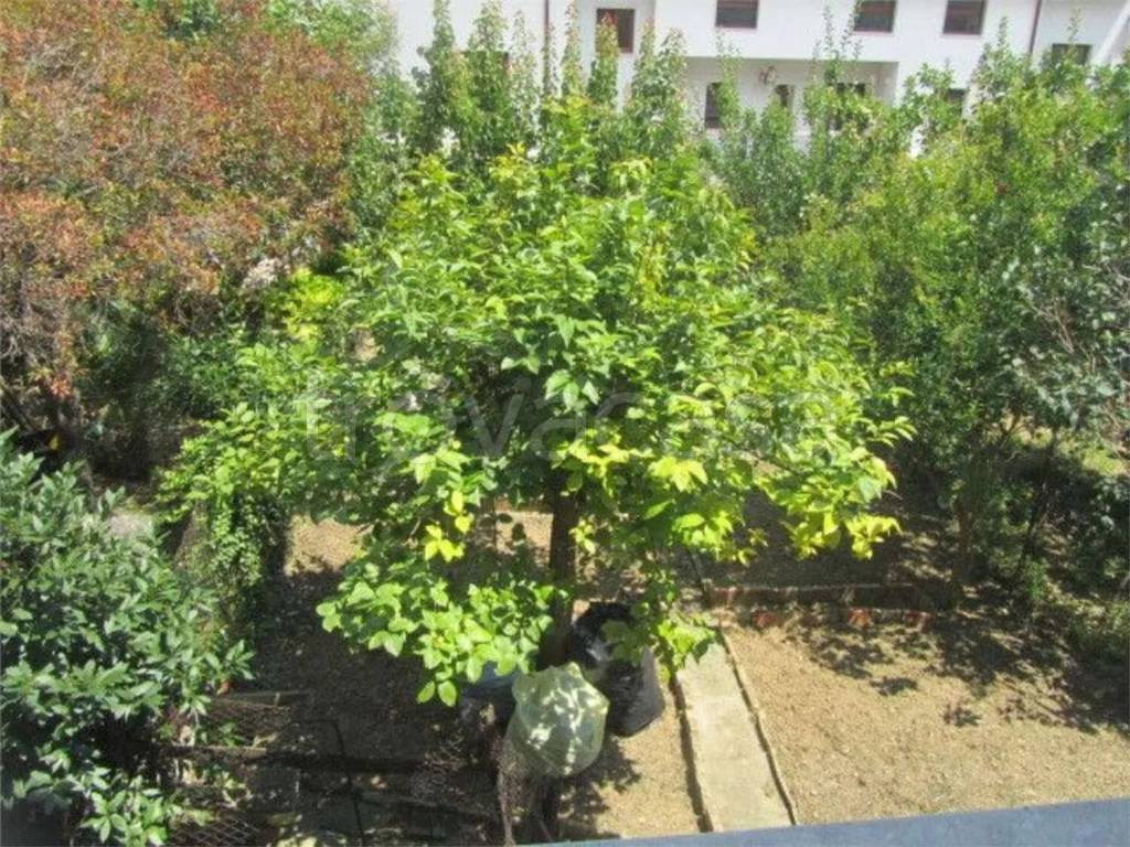 immagine annuncio 8 di 14