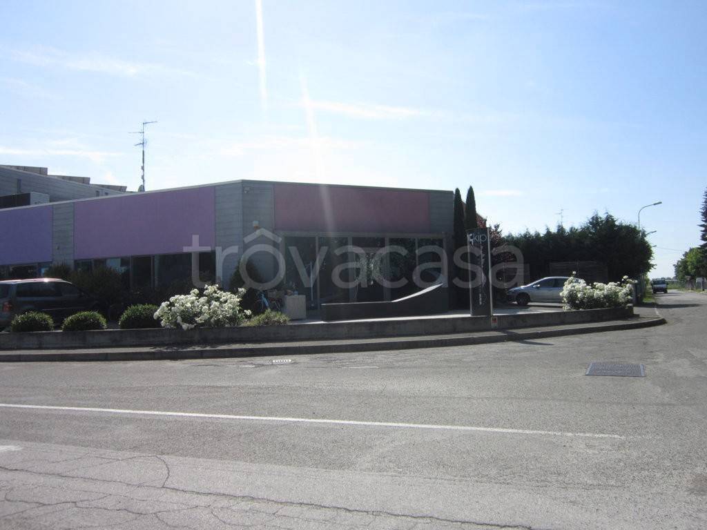 immagine annuncio 3 di 7