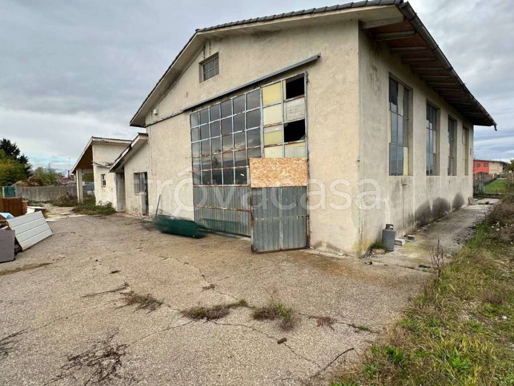 immagine annuncio 3 di 4