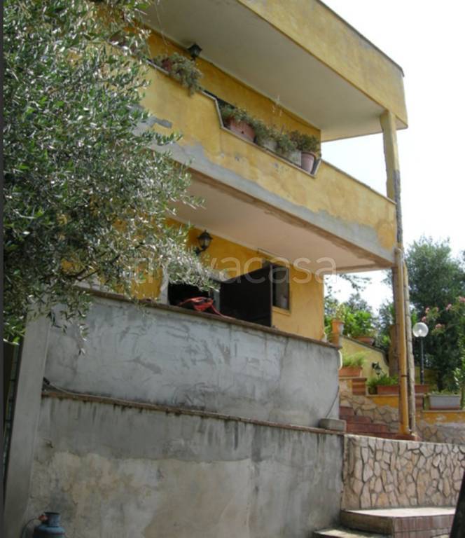 immagine annuncio 3 di 14