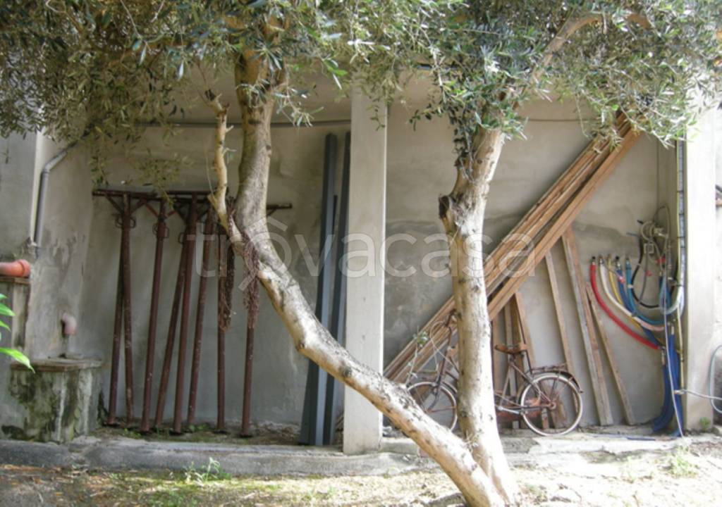 immagine annuncio 6 di 14