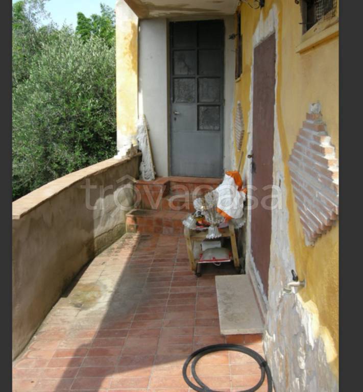 immagine annuncio 7 di 14