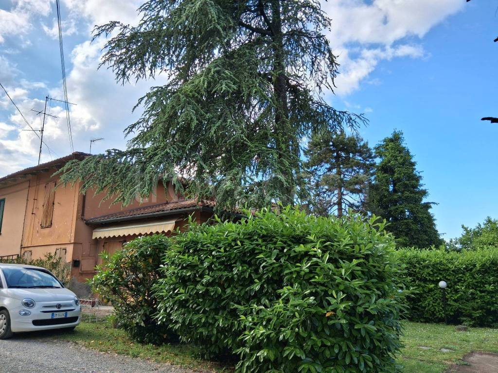 immagine annuncio 2 di 7