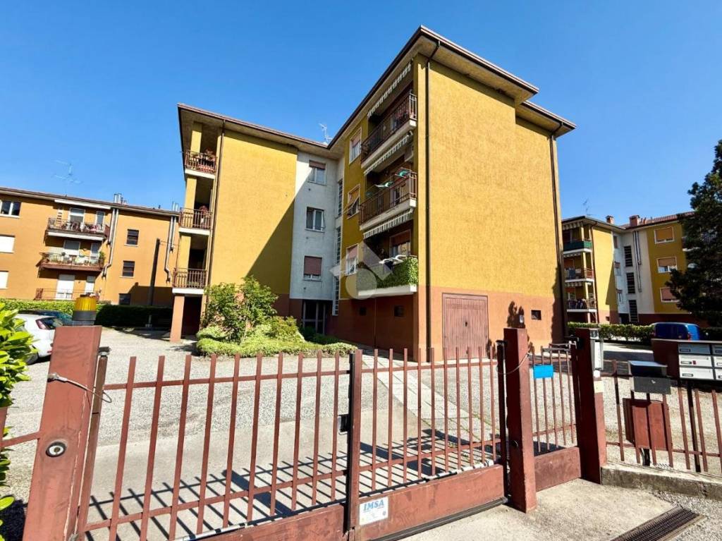 immagine annuncio 1 di 12