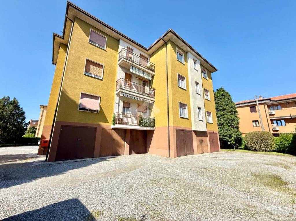 immagine annuncio 3 di 12
