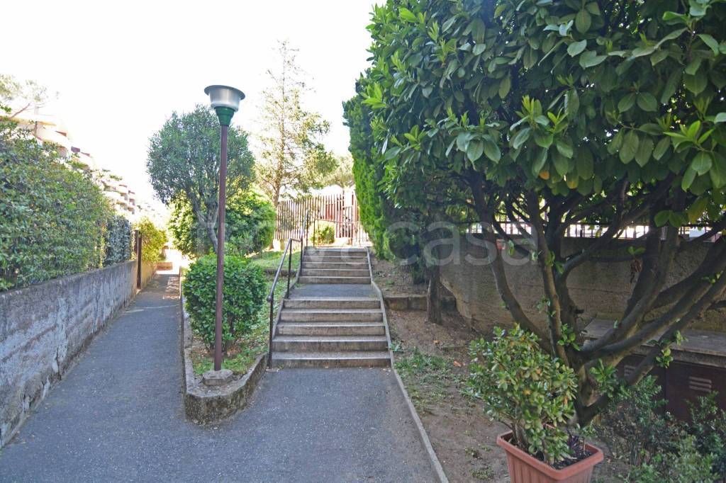 immagine annuncio 7 di 9