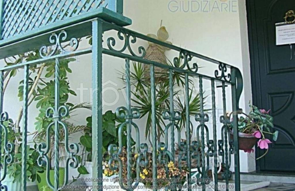 immagine annuncio 12 di 14