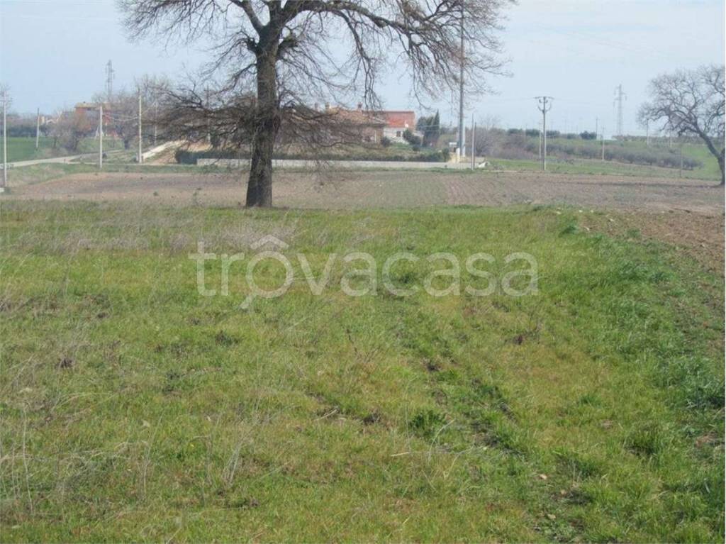 immagine annuncio 4 di 8