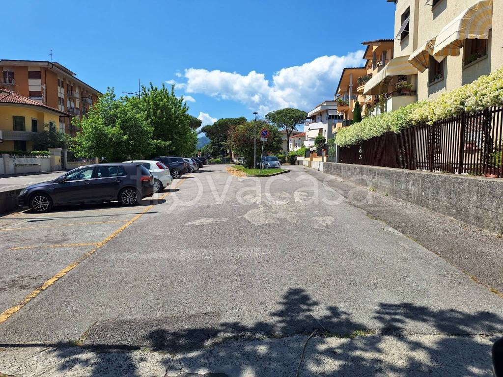 immagine annuncio 2 di 14