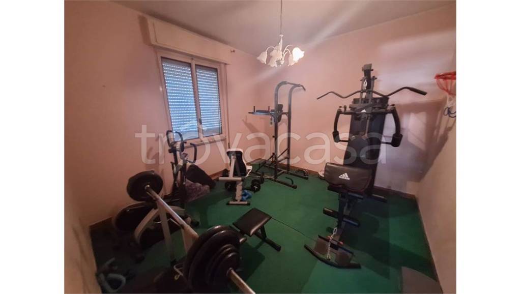 immagine annuncio 11 di 14