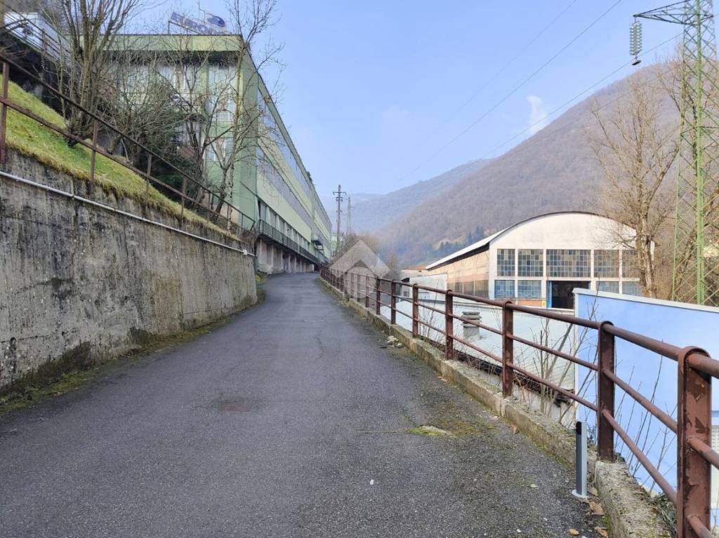 immagine annuncio 5 di 11
