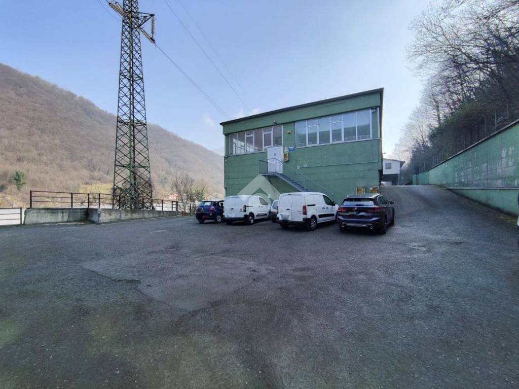 immagine annuncio 7 di 11