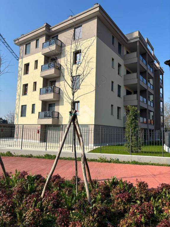 immagine annuncio 11 di 15