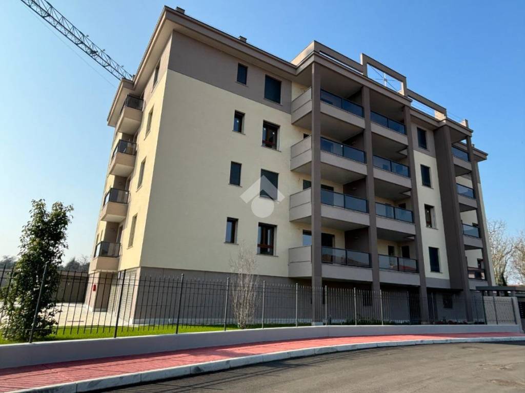 immagine annuncio 3 di 15