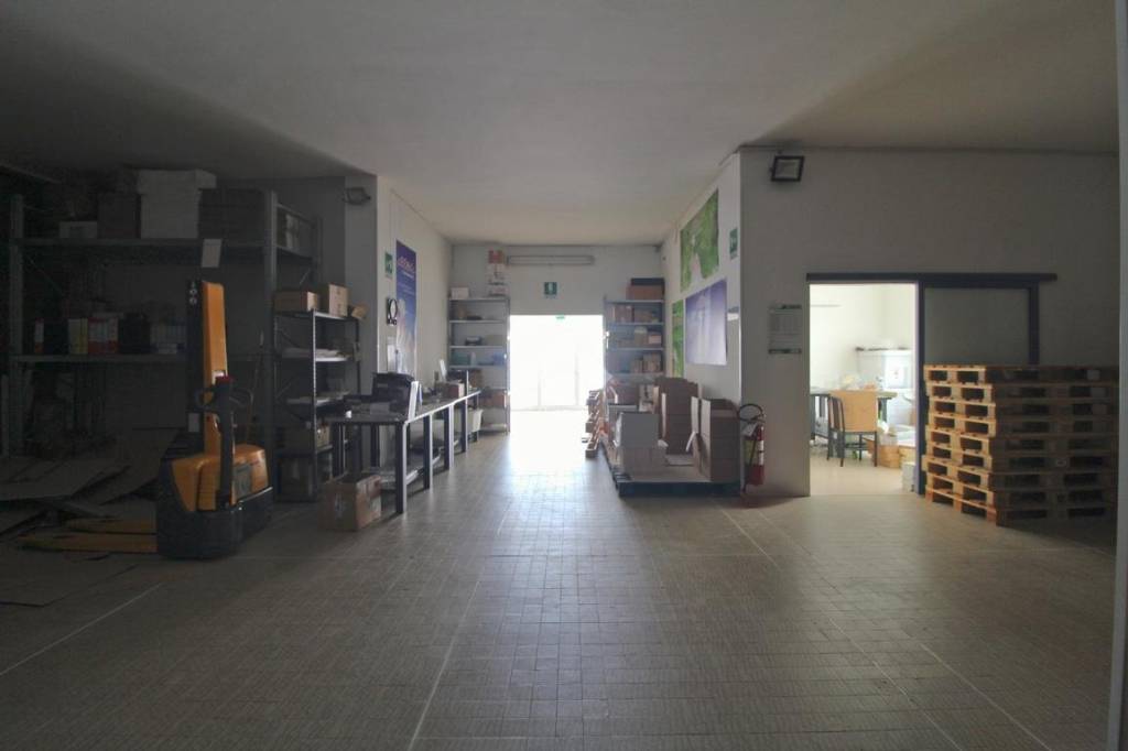immagine annuncio 9 di 15